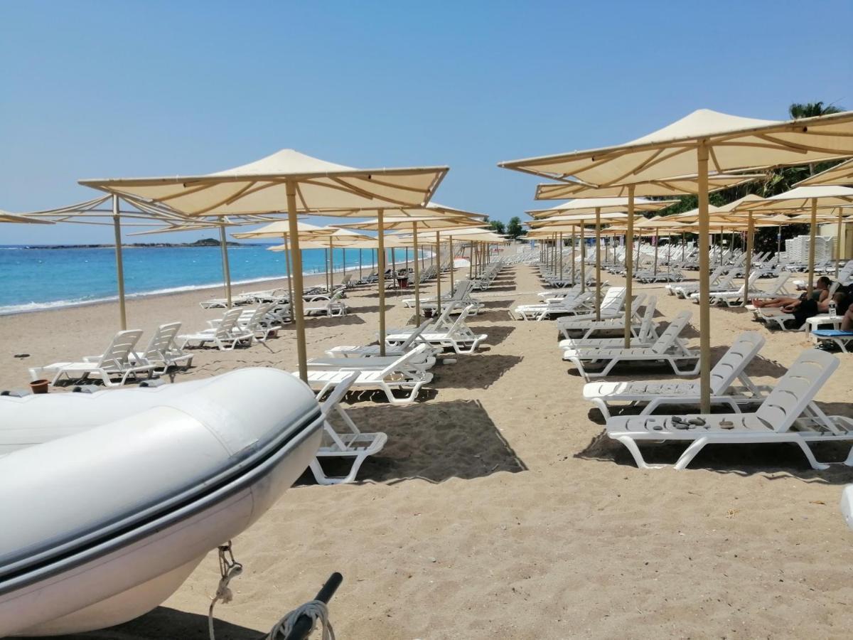 Cimtur Tatil Sitesi 3+1 Villa 阿拉尼亚 外观 照片