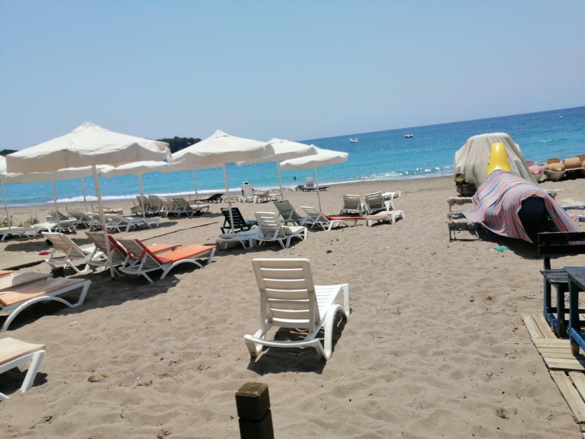 Cimtur Tatil Sitesi 3+1 Villa 阿拉尼亚 外观 照片