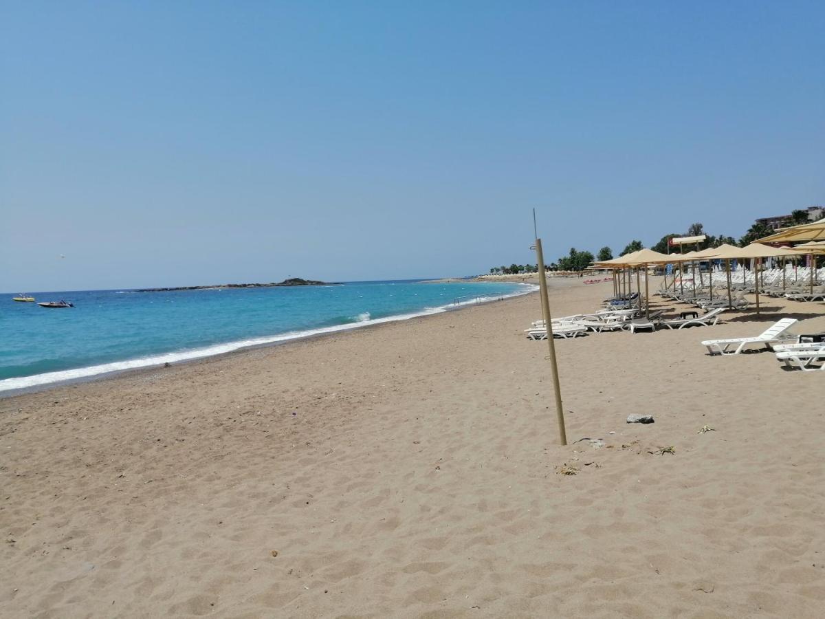 Cimtur Tatil Sitesi 3+1 Villa 阿拉尼亚 外观 照片